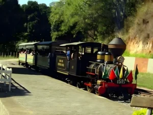 Uma Jornada Através da História e da Natureza