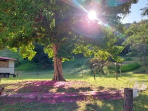 Viaje com Sustentabilidade e Responsabilidade