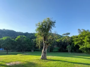 Descubra as Maravilhas do Turismo Rural