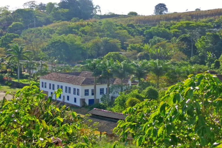 Vale do Café Uma Viagem ao Tempo e à Beleza